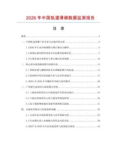2026年中國軌道滑梯數據監測報告