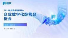 帆軟：2025年企業(yè)數(shù)字化經(jīng)營分析會解決方案