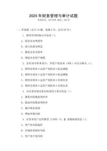 2025年財務管理與審計試題