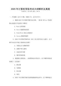 2025年计算机等级考试大纲解析及真题