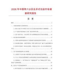 2026年中國帶六分區合并式功放市場調查研究報告