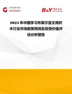 2025年中國學習布萊爾盲文用積木行業市場前景預測及投資價值評估分析報告