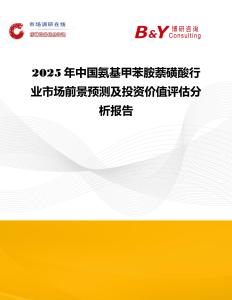 2025年中國氨基甲苯胺萘磺酸行業市場前景預測及投資價值評估分析報告