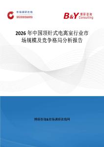 2026年中國頂針式電離室行業(yè)市場規(guī)模及競爭格局分析報告