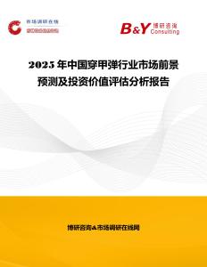 2025年中國穿甲彈行業市場前景預測及投資價值評估分析報告