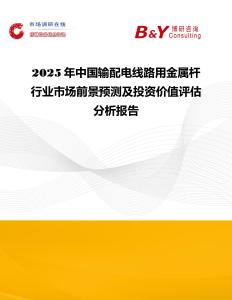 2025年中國輸配電線路用金屬桿行業市場前景預測及投資價值評估分析報告