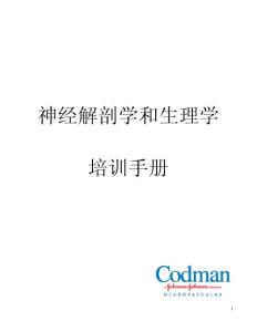 神經解剖學和生理學