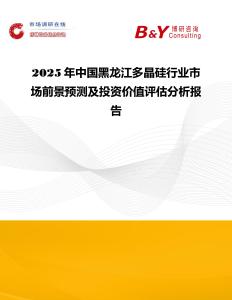 2025年中國黑龍江多晶硅行業(yè)市場前景預(yù)測及投資價值評估分析報告