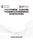 2025年中國機器、馬達和引擎的氣壓控制器行業市場前景預測及投資價值評估分析報告