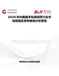 2026年中國魔術貼束線帶行業(yè)市場規(guī)模及競爭格局分析報告