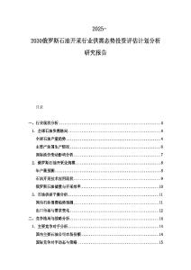 2025-2030俄罗斯石油开采行业供需态势投资评估计划分析研究报告