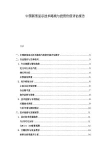 中國新型顯示技術路線與投資價值評估報告