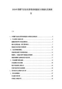2026中国燃气信息化管理系统建设与智能化发展报告