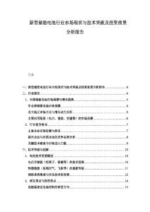 新型儲能電池行業市場現狀與技術突破及投資前景分析報告