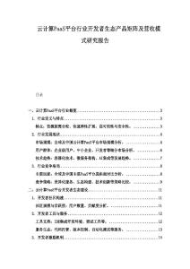 云計算PaaS平臺行業開發者生態產品矩陣及營收模式研究報告