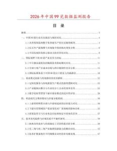 2026年中國99瓷數據監測報告