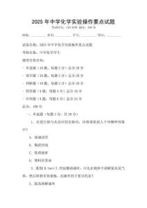 2025年中學化學實驗操作要點試題