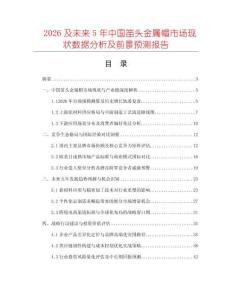 2026及未來5年中國笛頭金屬帽市場現狀數據分析及前景預測報告