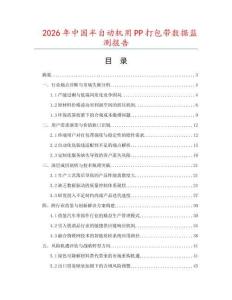 2026年中國半自動機(jī)用PP打包帶數(shù)據(jù)監(jiān)測報告