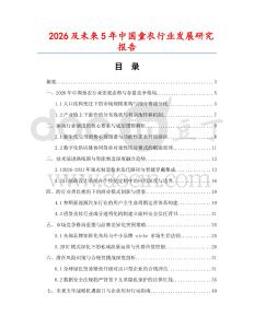 2026及未來5年中國童衣行業發展研究報告