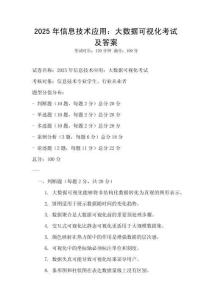 2025年信息技术应用：大数据可视化考试及答案