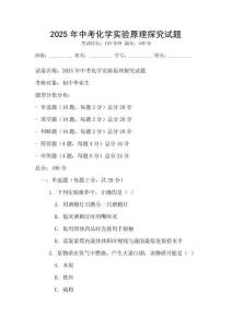 2025年中考化學實驗原理探究試題