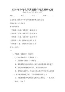 2025年中考化学实验操作考点解析试卷