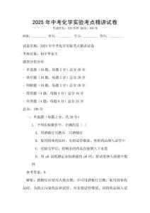 2025年中考化学实验考点精讲试卷