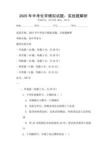 2025年中考化学模拟试题：实验题解析