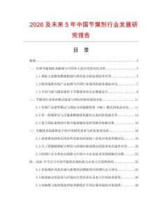 2026及未来5年中国节煤剂行业发展研究报告