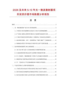 2026及未來(lái)5-10年光一微波激射器項(xiàng)目投資價(jià)值市場(chǎng)數(shù)據(jù)分析報(bào)告