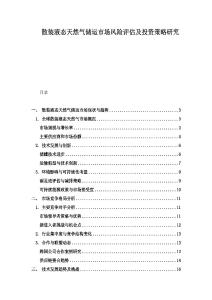 散装液态天然气储运市场风险评估及投资策略研究