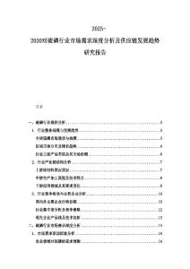 2025-2030对硫磷行业市场需求深度分析及供应链发展趋势研究报告
