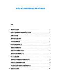 家庭水電氣智能管理服務市場開發策略報告