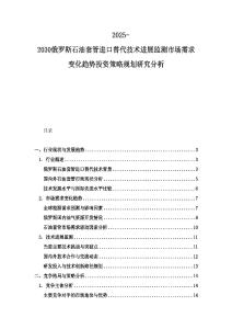 2025-2030俄罗斯石油套管进口替代技术进展监测市场需求变化趋势投资策略规划研究分析