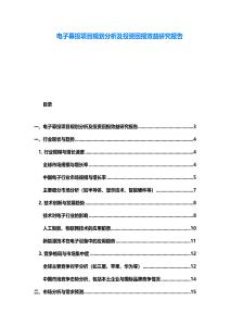 电子募投项目规划分析及投资回报效益研究报告