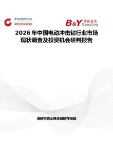 2026年中國電動沖擊鉆行業市場現狀調查及投資機會研判報告