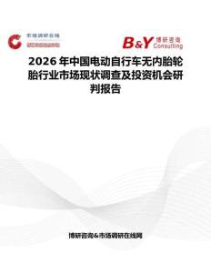 2026年中國電動自行車無內(nèi)胎輪胎行業(yè)市場現(xiàn)狀調(diào)查及投資機(jī)會研判報(bào)告