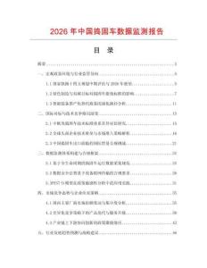 2026年中國搗固車數(shù)據(jù)監(jiān)測報告