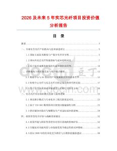 2026及未來5年實(shí)芯光纖項目投資價值分析報告