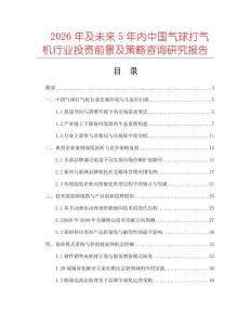 2026年及未來5年內中國氣球打氣機行業(yè)投資前景及策略咨詢研究報告
