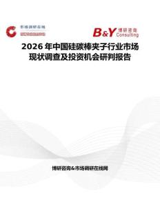 2026年中國硅碳棒夾子行業市場現狀調查及投資機會研判報告