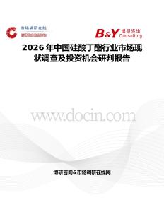 2026年中國硅酸丁酯行業市場現狀調查及投資機會研判報告