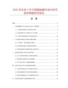 2026及未來5年中國凝脂膜市場分析及競爭策略研究報告
