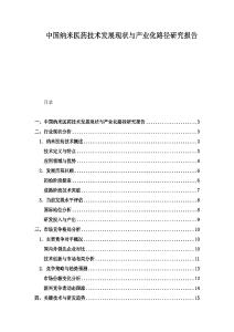 中國(guó)納米醫(yī)藥技術(shù)發(fā)展現(xiàn)狀與產(chǎn)業(yè)化路徑研究報(bào)告