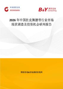 2026年中國肚皮舞腰帶行業市場現狀調查及投資機會研判報告