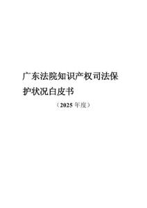 廣東法院知識產權司法保護狀況白皮書