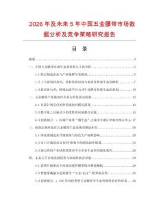 2026年及未來5年中國五金腰帶市場數據分析及競爭策略研究報告