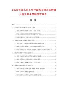 2026年及未來5年中國加長鉗市場(chǎng)數(shù)據(jù)分析及競(jìng)爭(zhēng)策略研究報(bào)告