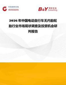 2026年中國電動(dòng)自行車無內(nèi)胎輪胎行業(yè)市場(chǎng)現(xiàn)狀調(diào)查及投資機(jī)會(huì)研判報(bào)告